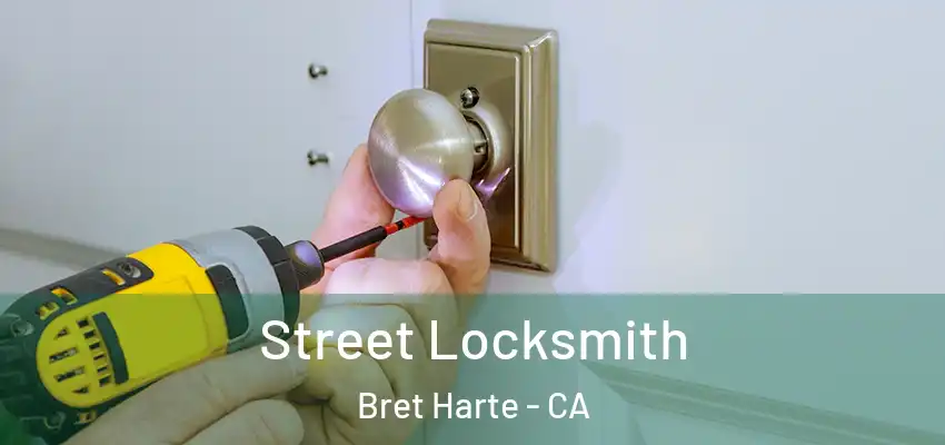  Street Locksmith Bret Harte - CA