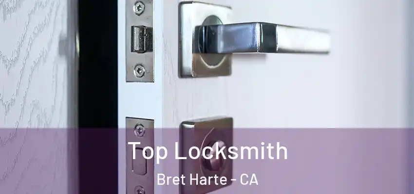  Top Locksmith Bret Harte - CA