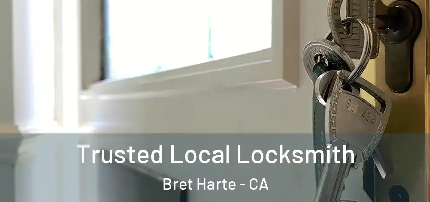  Trusted Local Locksmith Bret Harte - CA