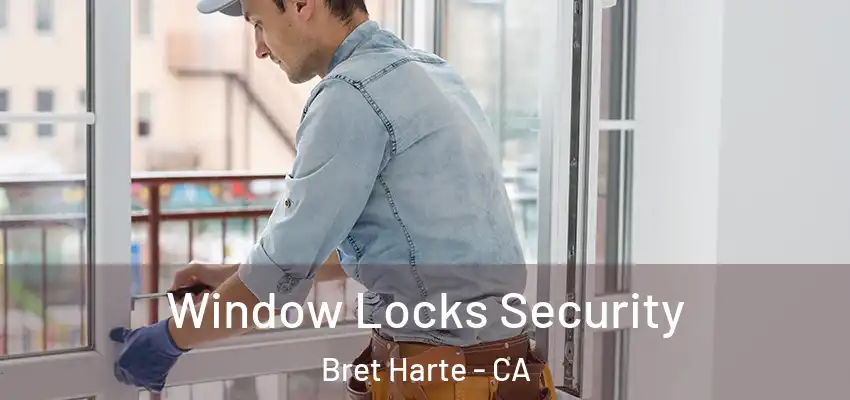  Window Locks Security Bret Harte - CA