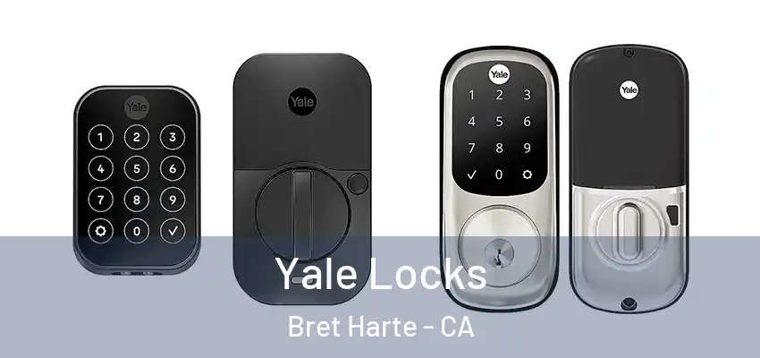  Yale Locks Bret Harte - CA